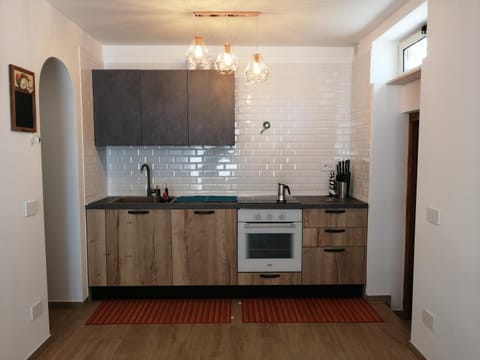 Kitchen or kitchenette, dishwasher, minibar, pet friendly, stove