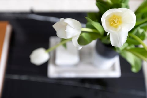 Acropolis Villa 3BR 9ppl 10 minutes Metro&Museum Villa in Kallithea