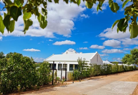 Property building, Garden view