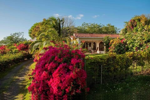 Property building, Garden view