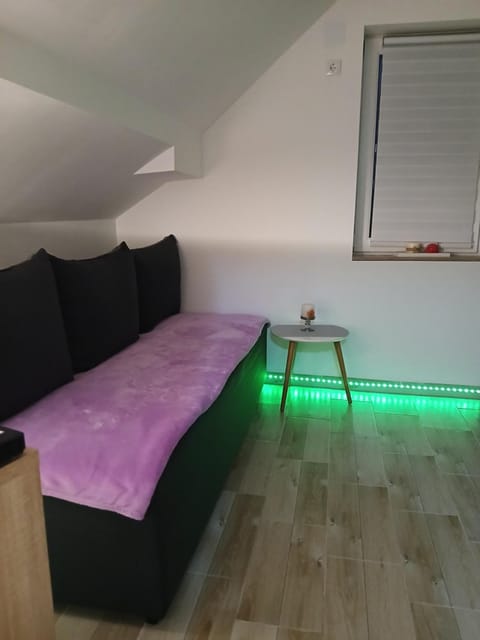 Studio Mina Apartment in Serbia