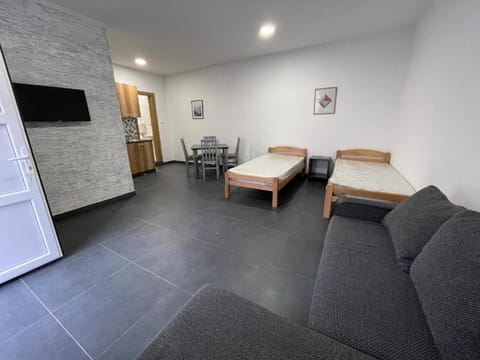 Apartmani Milenko Apartment in Vojvodina