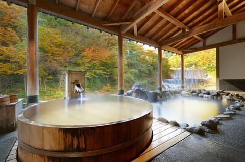 Hot Spring Bath, View (from property/room)