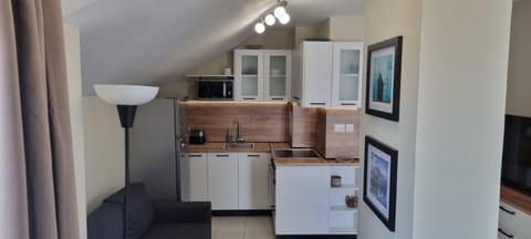 Kitchen or kitchenette, minibar, pet friendly, stove