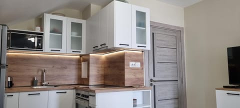 Kitchen or kitchenette, minibar, pet friendly, stove