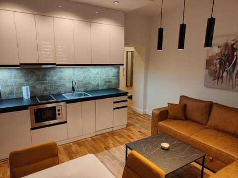 Coffee/tea facilities, Kitchen or kitchenette, Living room, Seating area, Dining area, minibar, pet friendly