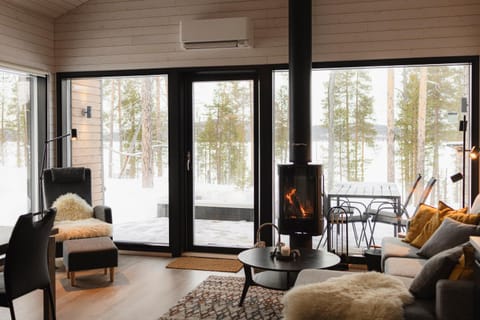 Winter, View (from property/room), View (from property/room), Living room, Lake view, Lake view, Mountain view, Mountain view, fireplace, fireplace
