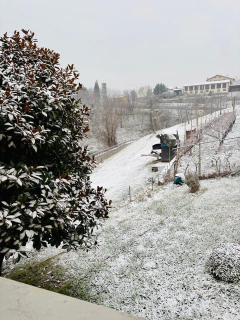 Natural landscape, Winter