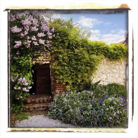 Inner courtyard view