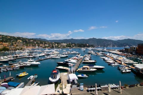 La Casa sul Porto by PortofinoHomes Apartment in Santa Margherita Ligure