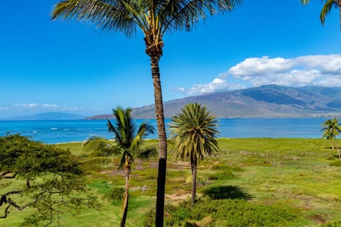 Kauhale Makai 512 Apartment in Kihei