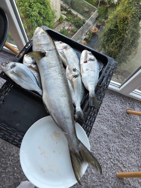 Apartmani Komatina Đenovići 2 Apartment in Kotor Municipality