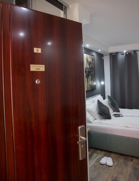 Apartman Studio GSM Apartment in Vojvodina