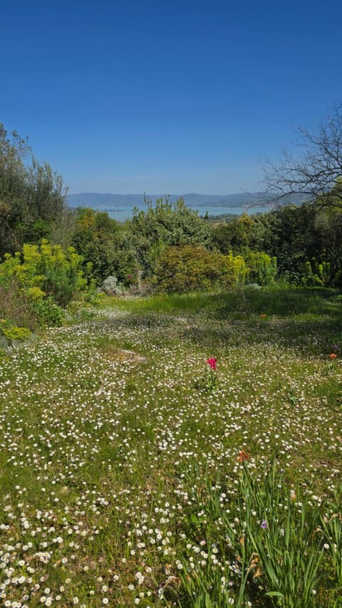 Garden, Garden view, Lake view
