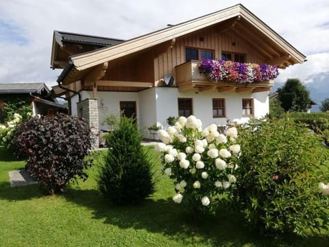 Property building, Garden view
