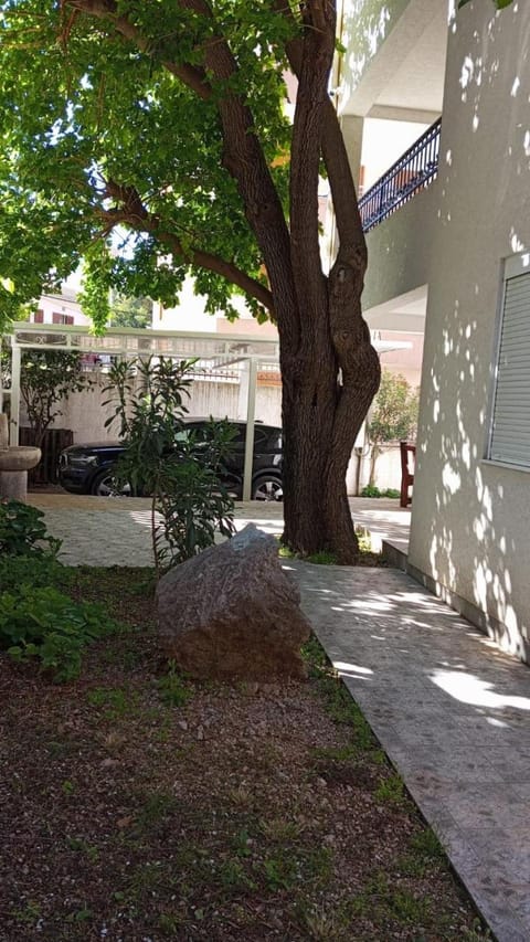 Apartmani Vedrana Apartment in Montenegro