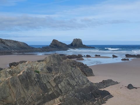 Natural landscape
