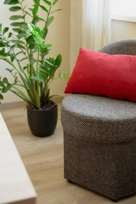 Old Town Apartment Apartment in Vilnius