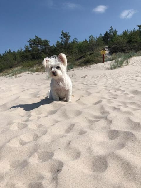 Baltic Holidays House in West Pomeranian Voivodeship, Poland