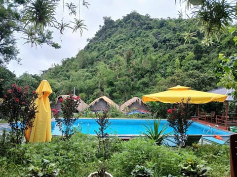 Pool view