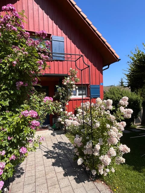 Property building, Day, Garden view