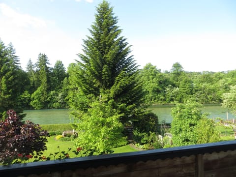 River view