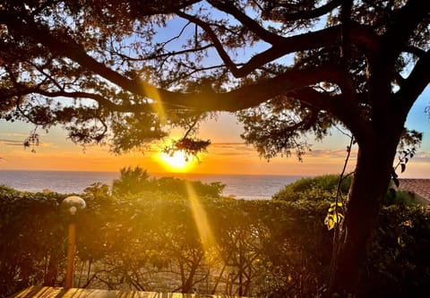 Sea view, Sunset