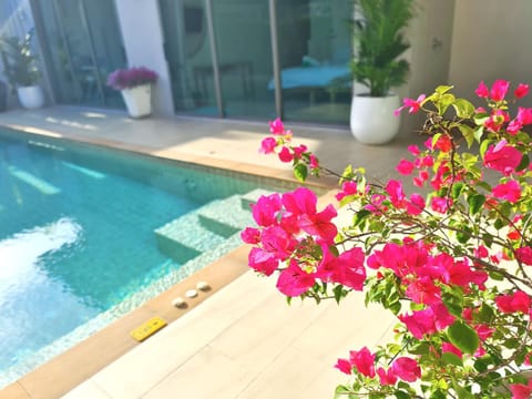 Day, Pool view, Swimming pool