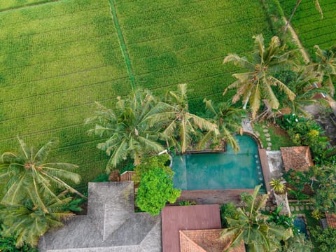 Spring, Day, Natural landscape, Bird's eye view, Garden, View (from property/room), View (from property/room), Garden view, Pool view, Swimming pool