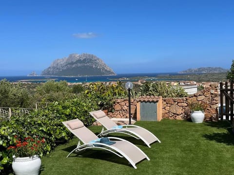 Garden, Sea view, sunbed