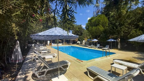 Garden, Pool view, Swimming pool, Swimming pool, sunbed