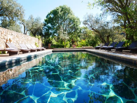 Day, Natural landscape, Garden, Pool view, Swimming pool, sunbed
