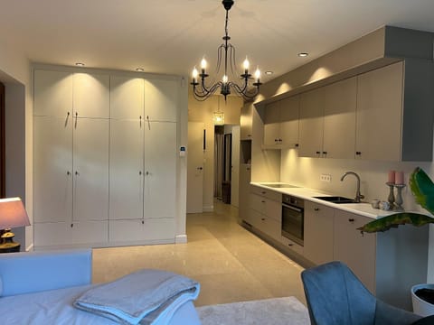 Het Herenhuis Vacation rental in Flanders