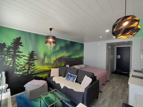 Living room, Photo of the whole room, Seating area, kitchen