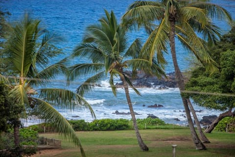 Maui Parkshore 401 Apartment in Kamaole