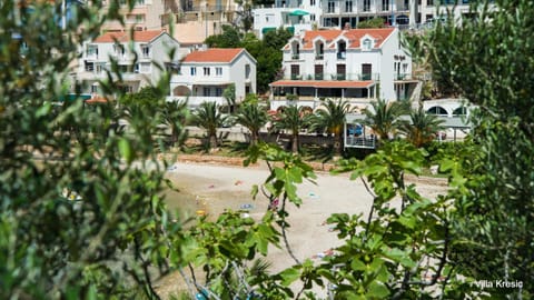 Beach, Area and facilities