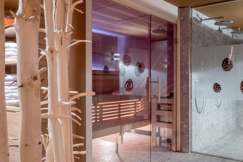 Sauna, Sauna, Internal: Not applicable to any particular room