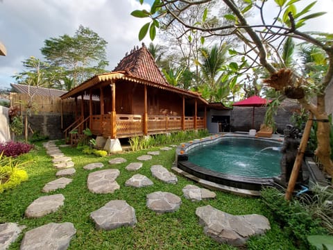 Natural landscape, Garden, Swimming pool