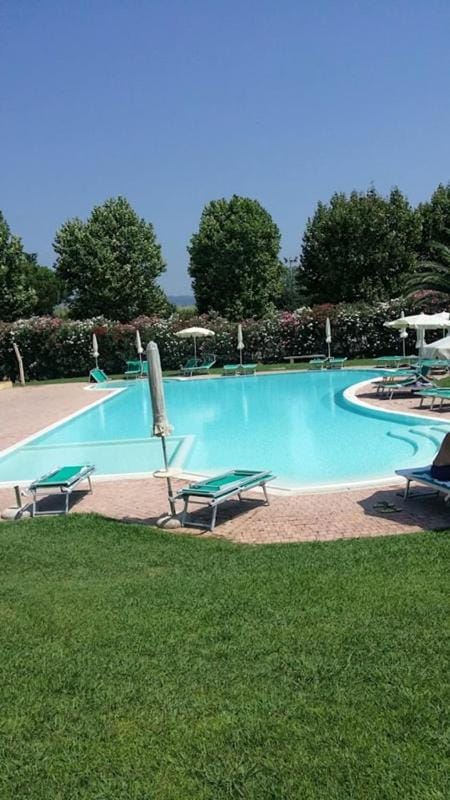 Day, Natural landscape, Garden, Garden view, Pool view, sunbed