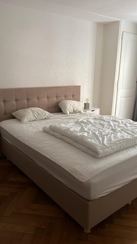 Appartement à Genève Apartment in Geneva