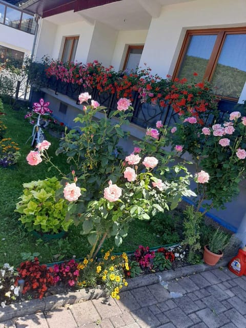 Uma Apartment in Lika-Senj County