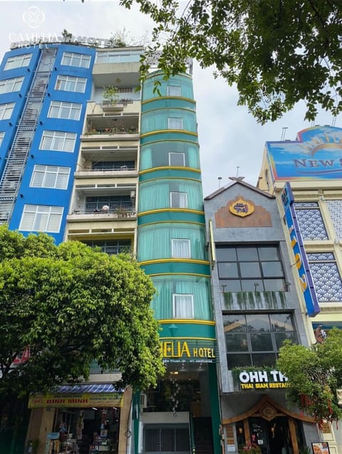 Property building, Day, City view, Street view, Location