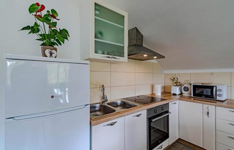 Apartments Pada Apartment in Dubrovnik-Neretva County