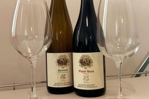 Darling Home Apartment in Merano