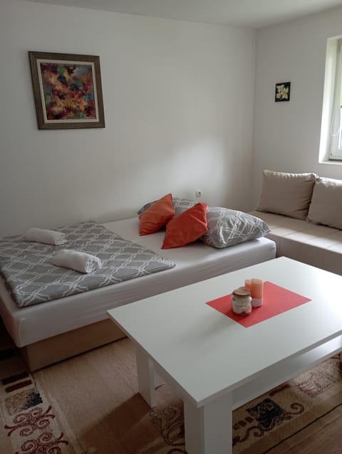 Apartman U&O Bihać Apartment in Lika-Senj County