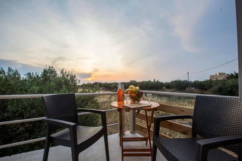 Garden, Balcony/Terrace