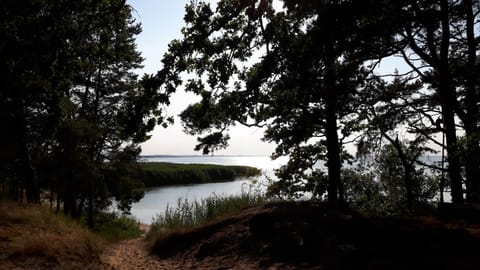 Ferienhaus unter den Eichen am Stettiner Haff Apartment in West Pomeranian Voivodeship, Poland