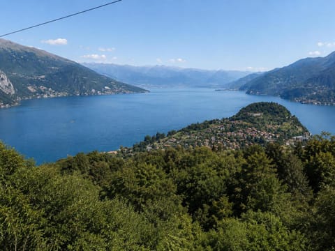 Lake view