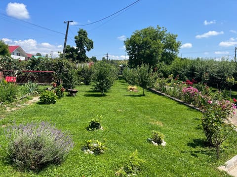 Garden, Garden view