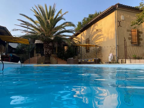 Swimming pool, Swimming pool, sunbed